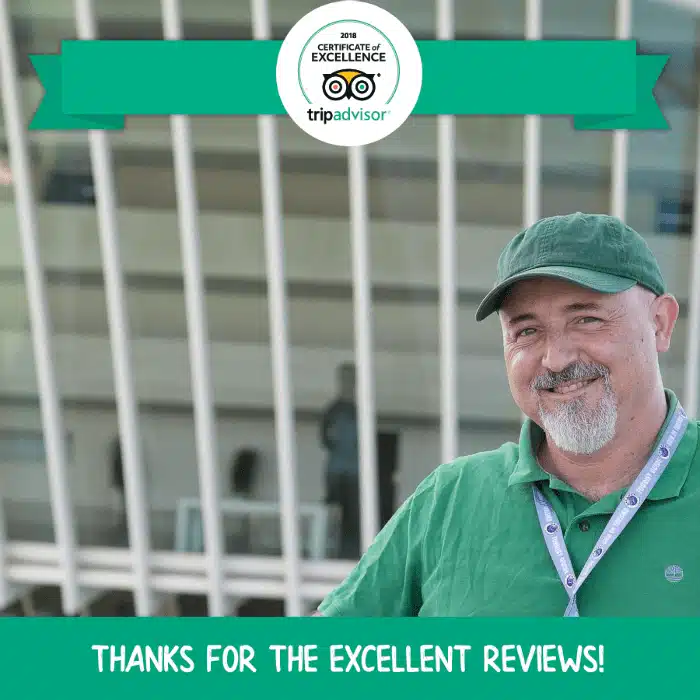 guida italiana valencia certificato eccellenza Tripadvisor
