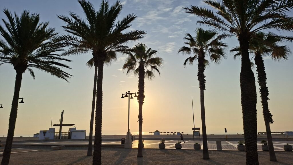 spiagge di Valencia palme Malvarrosa